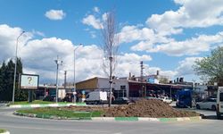 Eski Sanayi Yanındaki Dönel Kavşakta Peyzaj Düzenlemesi Başladı