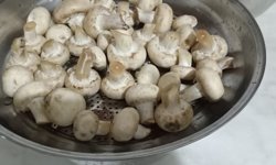 Mutfakların Vazgeçilmezi: Kültür Mantarı