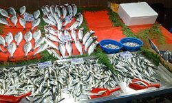 Çarşamba Pazarında Balık Tezgâhları İlgi Gördü