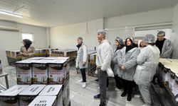 Öğrencilerden Peynir Fabrikasına Ziyaret