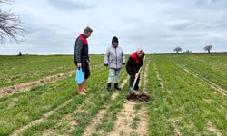 Babaeski’de Demonstrasyon Tarlası İçin İlk Adım