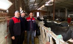 Ari İşletmeye Çiğ Süt İzin Belgesi Verildi