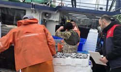 Kırklareli’nde Hamsi Denetimleri Sürüyor