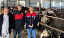 Kurban Bayramı Öncesi Besi Çiftliklerine Sıkı Denetim