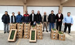 Kırklareli’nde Üreticilere Domates Fidesi Desteği