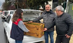 Vize’de Üreticilere Hıyar Fidesi Desteği