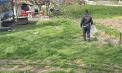 Lüleburgaz’da Zararlılara Karşı İlaçlama Sürüyor