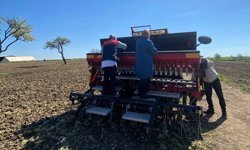 Babaeski’de Aspir Tohumları Toprakla Buluştu