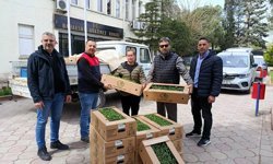 Babaeski’de Hibe Destekli Domates Fidesi Dağıtıldı