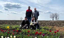 Vize’de Lale Soğanı Üretimine Teknik İnceleme