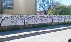Karşı Karşıya İki Duvar: Biri Sanat, Diğeri Vandalizm