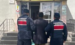 Köpeği zincirle ağaca asarak öldüren şahıs gözaltına alındı