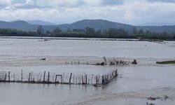 Meriç Nehri taştı, sular yollara ulaştı