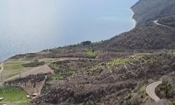 Tekirdağ’da pelikanların senkronize uçuşu görsel şölen sundu