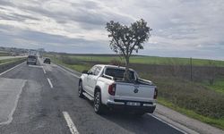 D100'de şaşırtan görüntü: Pikapta zeytin ağacı taşıdılar