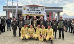 Ormancılığın şampiyonu: Tekirdağ