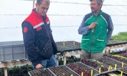 Pınarhisar'da üreticilere teknik destek