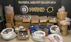 İstanbul'da uyuşturucu operasyonunda 2 gözaltı