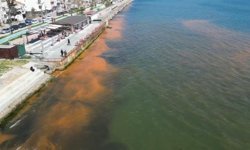 Tekirdağ'da sahil turuncuya büründü