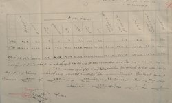 Çanakkale'de 1915 yılına ait sağlık raporu gün yüzüne çıktı