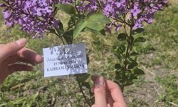 Edirne İlhami Ertem Anadolu Lisesi öğrencilerinden anlamlı etkinlik