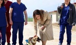 Tekirdağ'da can dostları için 10 bin metrekarelik yaşam alanı