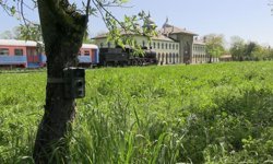 Edirne'de fotokapanlar yaban hayatını görüntülüyor