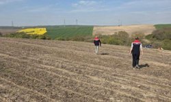Tekirdağ'da ayçiçeği tohumları anıza ekim yöntemiyle toprakla buluştu
