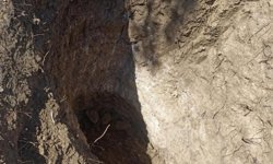 Tekirdağ'da mezarlıkta define aradılar