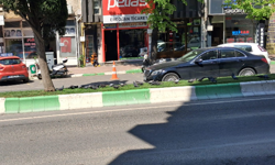 Güvercinler Refüjde Toplandı