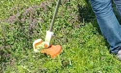 Kırklareli’nde Bahçelerde Ot Temizliği Artıyor