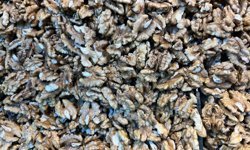 Ceviz İçi Satışları Sürüyor