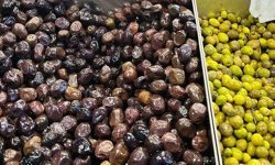 Zeytinler İlgi Görüyor