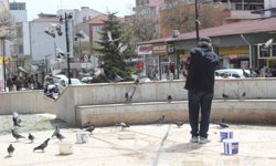 Kuşlar İçin Küçük Bir Meydan, Vatandaşlar İçin Huzurlu Bir Köşe