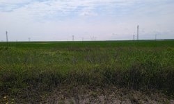 Baharın Bereketi Ovada Görsel Şölen Oluşturdu