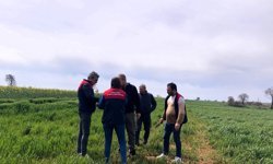 Hububat Alanlarında Saha Kontrolleri Sürüyor