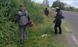 Lüleburgaz’da Temizlik ve Ot Biçme Çalışmaları Sürüyor