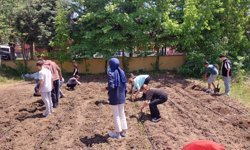 Minik Eller Hobi Bahçesinde Toprakla Buluştu
