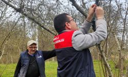 Kahverengi Kokarca İçin İzleme Çalışması Başlatıldı