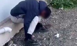 Genci sokak ortasında zombiye dönüştürerek zehirleyen şahıslar yakalandı
