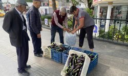 Ürettiği patlıcanlar maliyetini kurtarmayınca serasının kapılarını vatandaşlara açtı