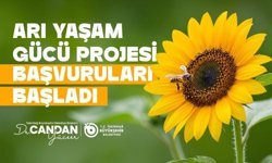 Tekirdağ’da arıcılara yem desteği başvuruları başladı