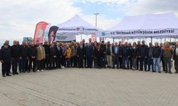 Sebze üreticilerine yarım milyon fide
