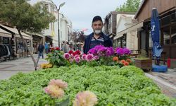 Edirne Saraçhane Caddesi'nde fesleğen kokusu