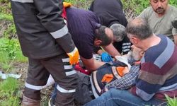 Mantar toplarken ayı saldırısına uğradı