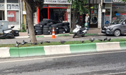 Güvercinler Şehir Manzarasına Renk Kattı
