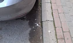 Kırklareli’nde İzmarit Kirliliği Dikkat Çekiyor