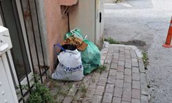 Kırklareli’nde Kaldırıma Bırakılan Çöpler Tepki Çekti