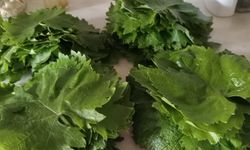 Kırklareli’nde Bayram Sofraları İçin Sarma Hazırlığı