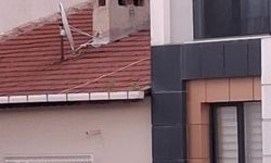 Kırklareli’nde Çatıdaki Otlar Dikkat Çekti